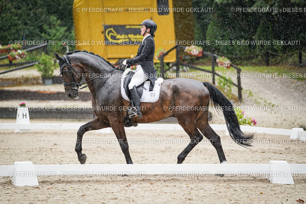 DSC08132 | Pferdegrafie