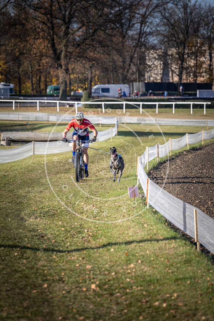 CaniXpix_DV3A2770 | Hundefotografie, Tierfotograf, Pfotenfotografie, Fotoshooting Hund, Hunde Portrait, Hundesport, Hundeportraits, Heideshooting, Hunde, Sportfotograf, Hundefotograf, Turnierhundsport, THS,  - Realisiert mit Pictrs.com