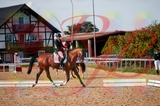 2026_10_03_Siefer-Hof_131529_Z63_77039959 | Professionelle Reitsport-, Turnier- und Eventfotografie von Robert Broda. Galerien mit ausgewählten und bearbeiteten Bildern direkt online ansehen und bestellen.