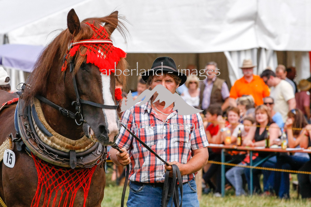 15082015-fb-6268 | Leistungsziehen in Poschetsried 2015