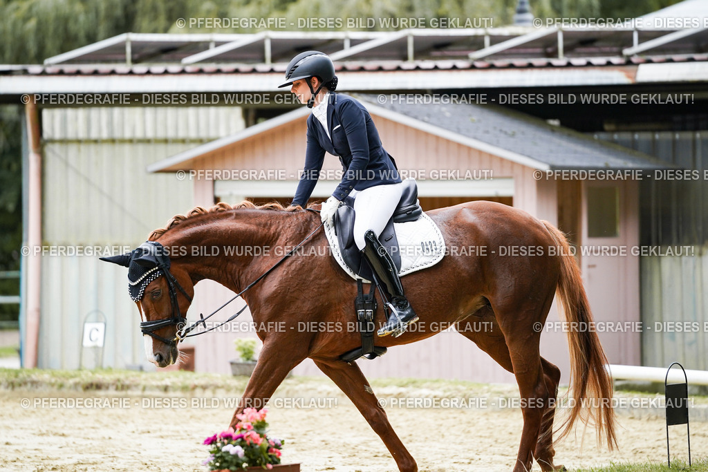 DSC07069 | Pferdegrafie