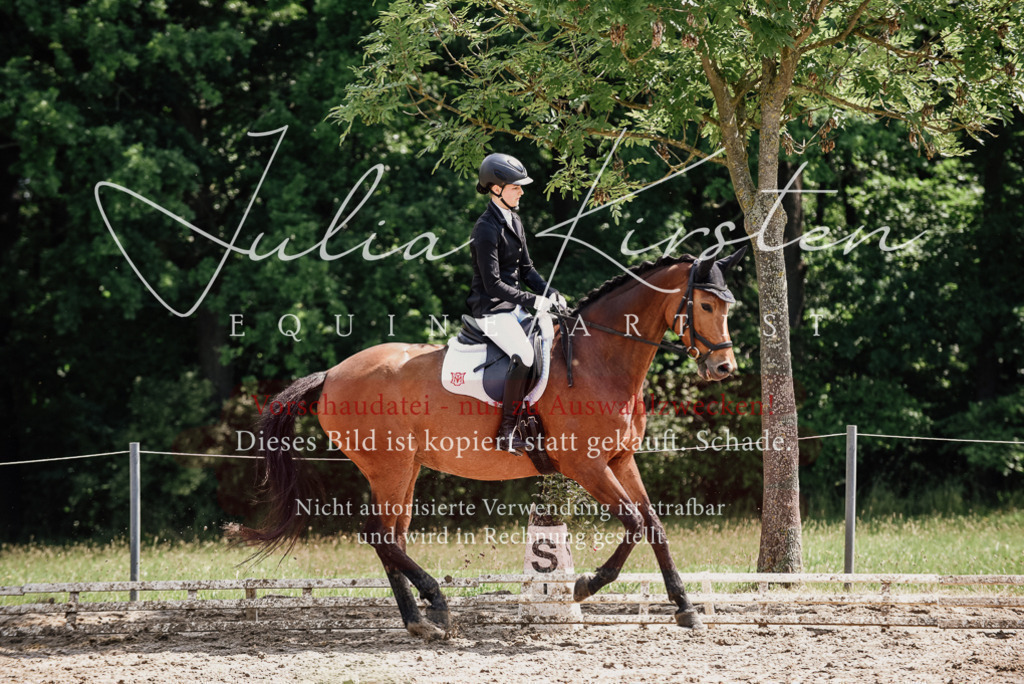 DSC_1021 | Pferde- und Turnierfotografie in Westsachsen. Pferdeportraits, Auftragszeichnungen und intuitive Kunst.