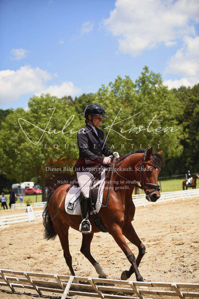 DSC_1563 | Pferde- und Turnierfotografie in Westsachsen. Pferdeportraits, Auftragszeichnungen und intuitive Kunst.
