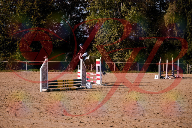 2026_10_03_Siefer-Hof_154950_Z81_68740940 | Professionelle Reitsport-, Turnier- und Eventfotografie von Robert Broda. Galerien mit ausgewählten und bearbeiteten Bildern direkt online ansehen und bestellen.