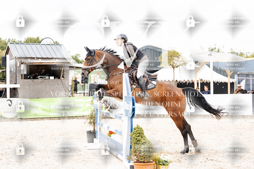 CK909659 | Turnierfotografie Pferdefotografie Trier Rheinland-Pfalz Pferdesport Reitsport Tierfotografie Sportfotografie Pferdevideo Pferdevideografie Equestrianvideography equestrianphotography  - Realisiert mit Pictrs.com