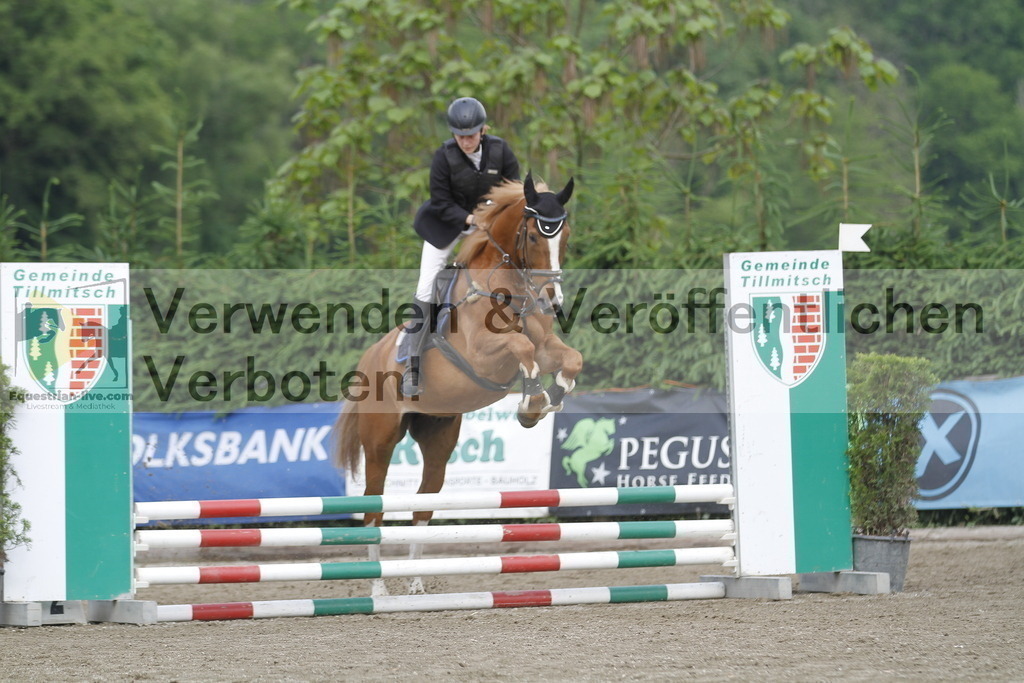 _MG_4253 | equestrian-live-com