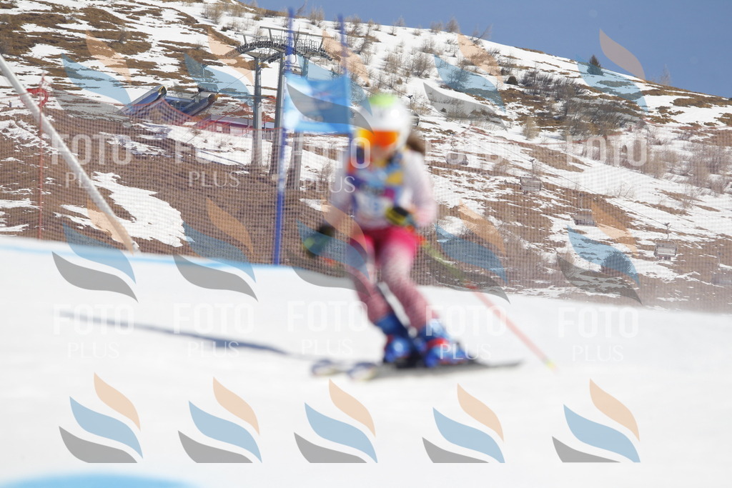 _U3G8833 | holidayphoto