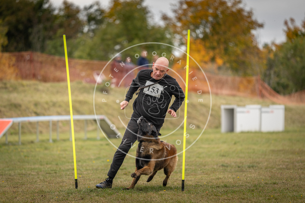Pfotenfotografie_DV3A6301 | Hundefotografie, Tierfotograf, Pfotenfotografie, Fotoshooting Hund, Hunde Portrait, Hundesport, Hundeportraits, Heideshooting, Hunde, Sportfotograf, Hundefotograf, Turnierhundsport, THS,  - Realisiert mit Pictrs.com