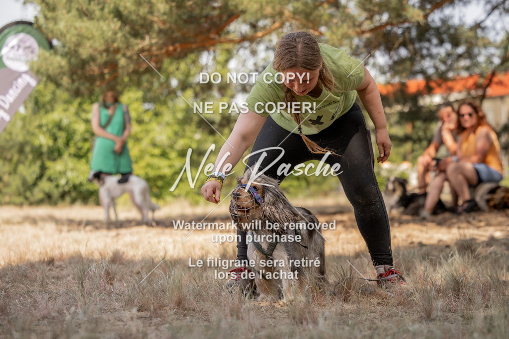 nelerasche_soDD2_366 | nelerasche