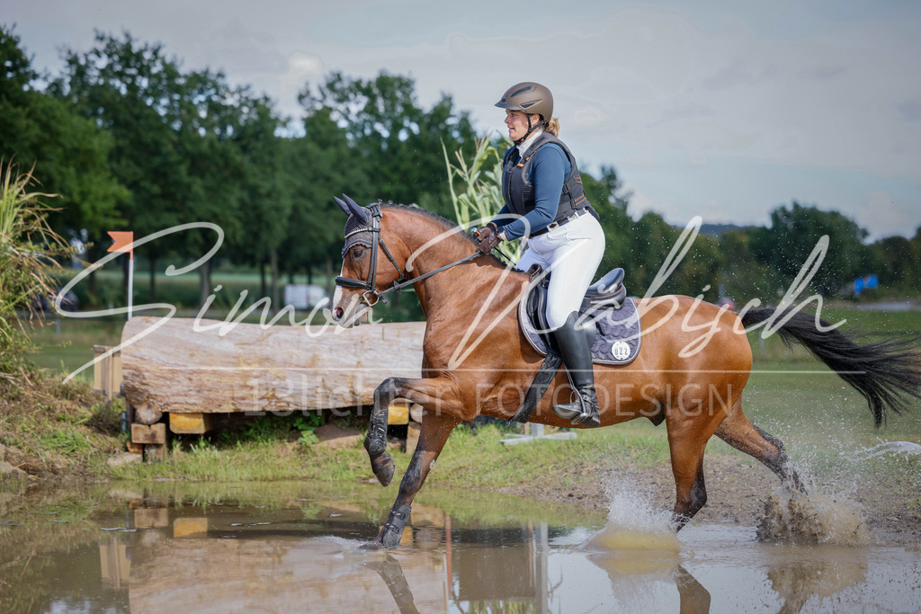 20250905-_3LI0368 | Tierfotografie Pferde, Hunde, Katzen, Haustiere.
Turnierfotografie Reitturniere, Reiten, Springreiten, Dressur in Hanau, dem Main-Kinzig-Kreis und dem Rhein-Main- Gebiet um Frankfurt