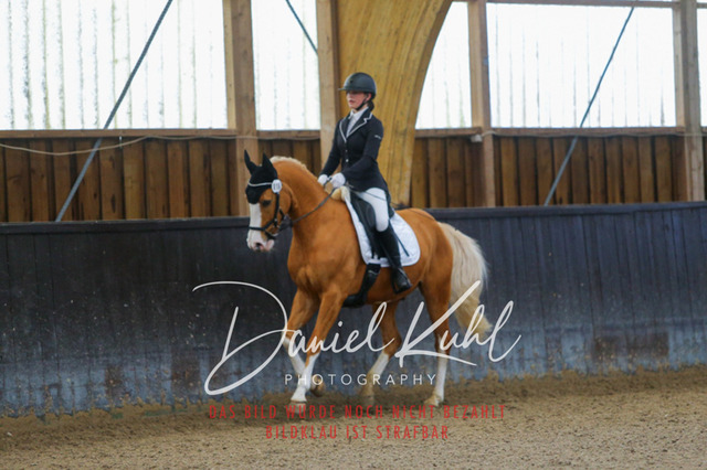 IMG_0240 | Deine Turnierfotos vom Reitturnier online kaufen: Dressur, Springen & Siegerehrung. Professionelle Pferdefotografie aus dem Rheinland – als Download & Print.Alternative: Turnierfotograf für den Pferdesport: Finde deine Fotos von Dressur- und Springturnier