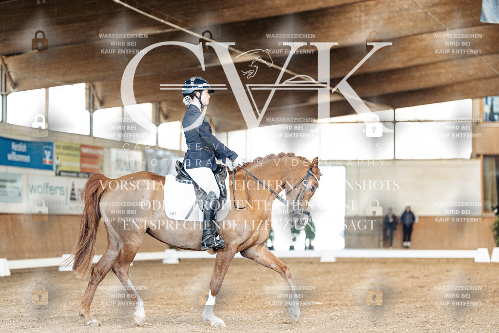 CK900769 | Turnierfotografie Pferdefotografie Trier Rheinland-Pfalz Pferdesport Reitsport Tierfotografie Sportfotografie Pferdevideo Pferdevideografie Equestrianvideography equestrianphotography  - Realisiert mit Pictrs.com