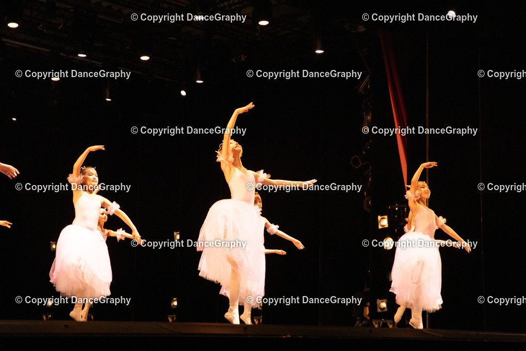 GPHY4688 | DanceGraphy - Realisiert mit Pictrs.com