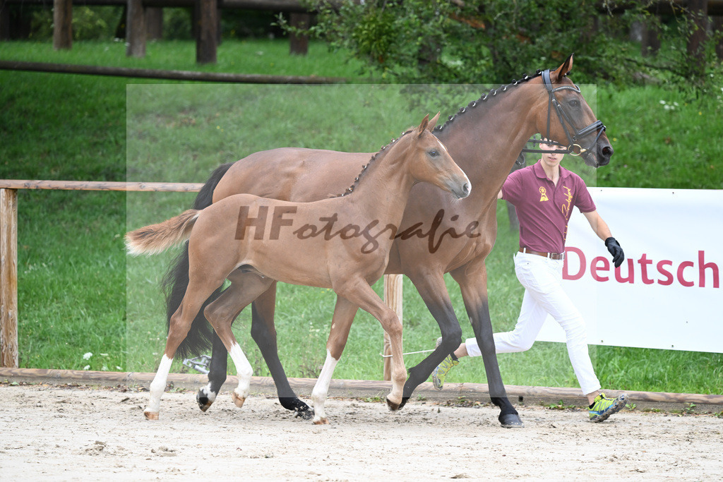 Kat-Nr. 6 HF Erdinger_Scherer_25230066 | hf-fotografie - Realizzato con Pictrs.com