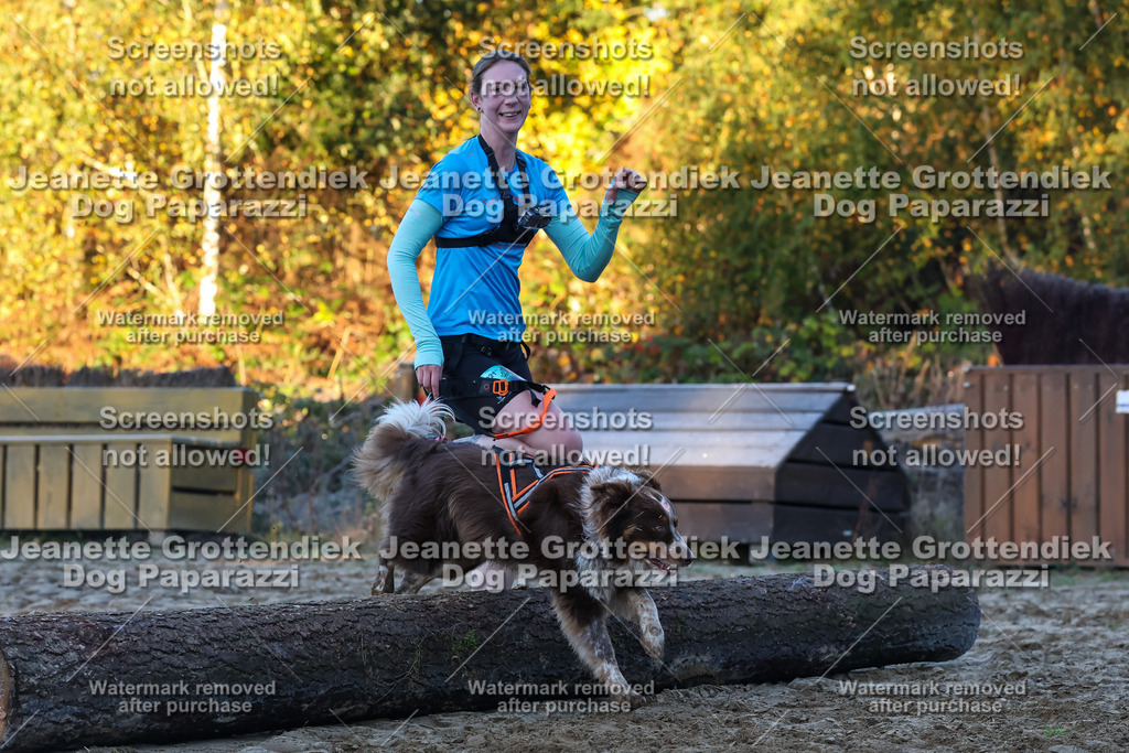 Dog Paparazzi - Strongdog 10-25-526 | Dog Paparazzi Jeanette Grottendiek Fotografie & Videografie - Realisiert mit Pictrs.com