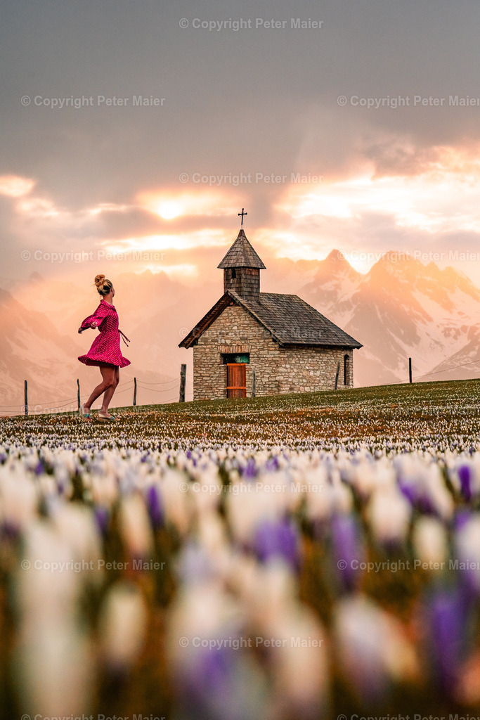 Glocknerblick-410 | piet_flosse