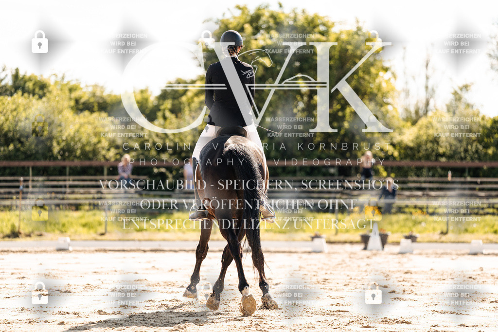 CK909237 | Turnierfotografie Pferdefotografie Trier Rheinland-Pfalz Pferdesport Reitsport Tierfotografie Sportfotografie Pferdevideo Pferdevideografie Equestrianvideography equestrianphotography  - Realisiert mit Pictrs.com