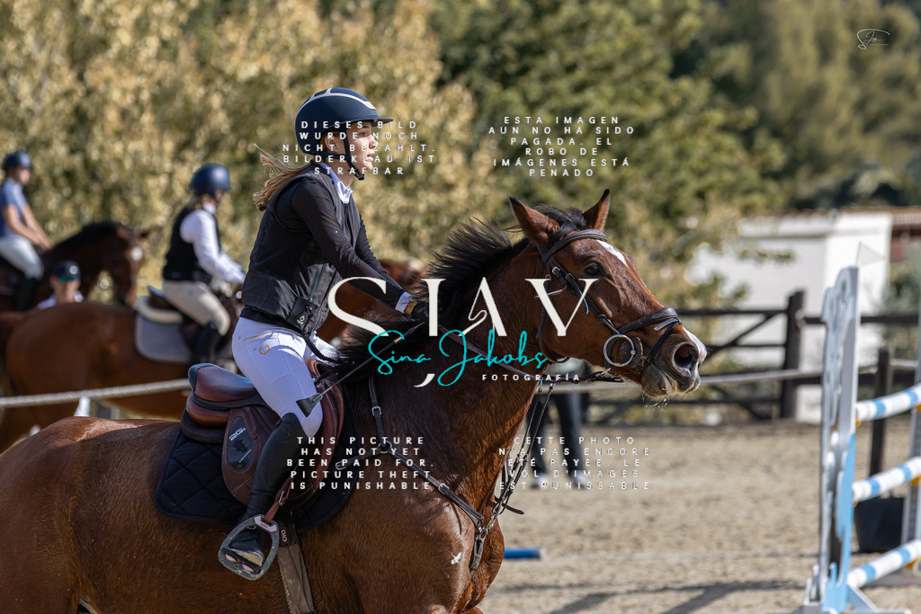 IMG_0531 | s-jay-photography - Realisiert mit Pictrs.com