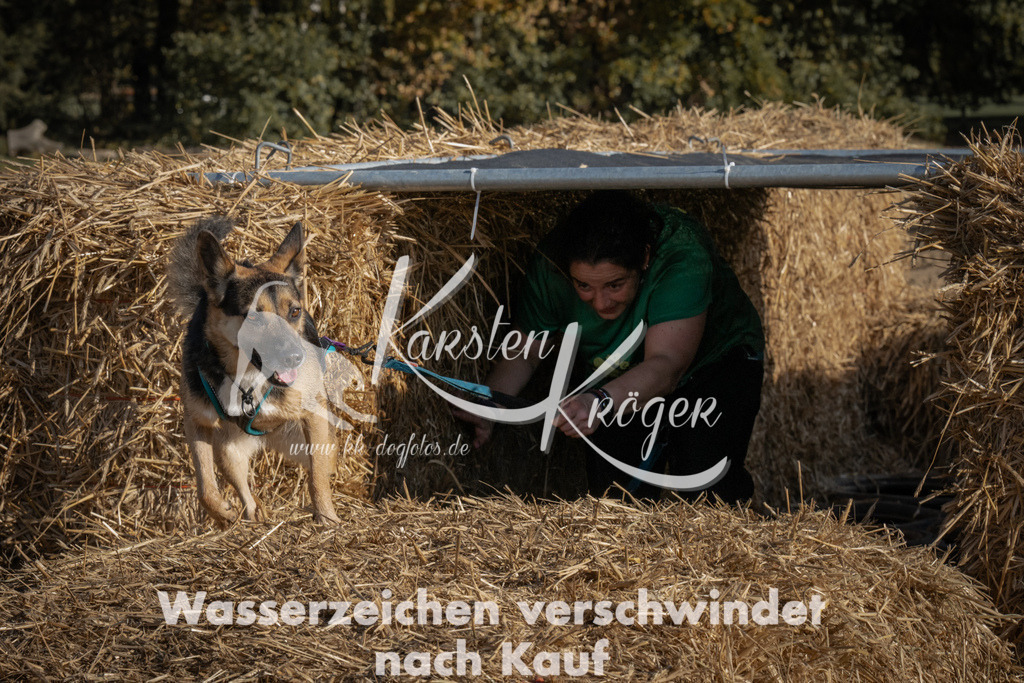 1056_ZZ99676 | kk-dogfotos