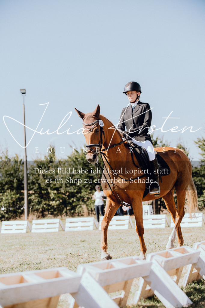 DSC_7263 | Pferde- und Turnierfotografie in Westsachsen. Pferdeportraits, Auftragszeichnungen und intuitive Kunst.