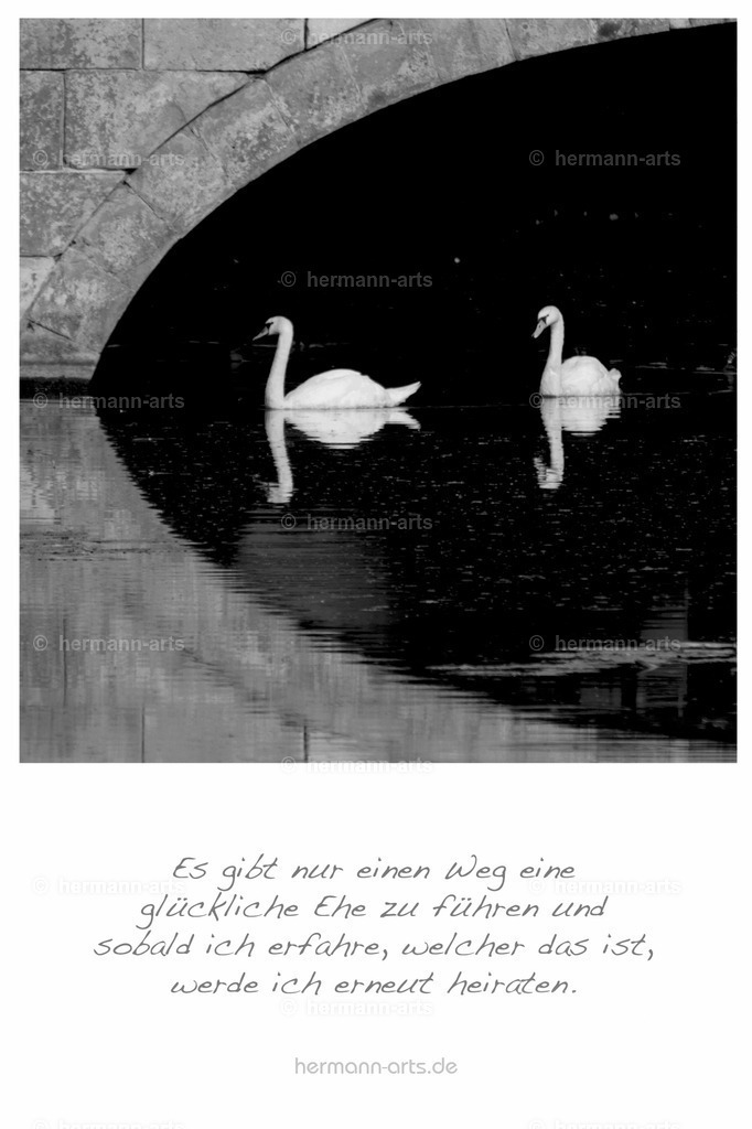 PK_Zitate_10x15_BW-053 | Photo Foto Kunst Art schwarzweiss Bilder Rheine Münster Berlin Blumen 