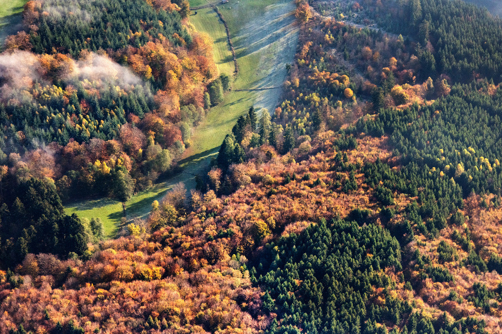 dr__0040362.jpg | BAD WILDUNGEN 31.10.2019 Laubbaum- und Mischwald- Baumspitzen in einem Waldgebiet mit eine Lichtung und Raureif auf der Wiese in Bad Wildungen im Bundesland Hessen, Deutschland. // Treetops in a forest area with eine Lichtung and Raureif auf of Wiese in Bad Wildungen in the state Hesse, Germany. Foto: Daniel Reiter