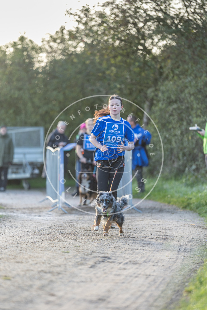 Pfotenfotografie.de_DV3A2521 | Hundefotografie, Tierfotograf, Pfotenfotografie, Fotoshooting Hund, Hunde Portrait, Hundesport, Hundeportraits, Heideshooting, Hunde, Sportfotograf, Hundefotograf, Turnierhundsport, THS, canicross - Realisiert mit Pictrs.com