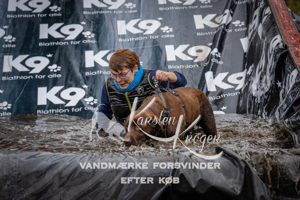 1211_ZZ94652 | kk-dogfotos