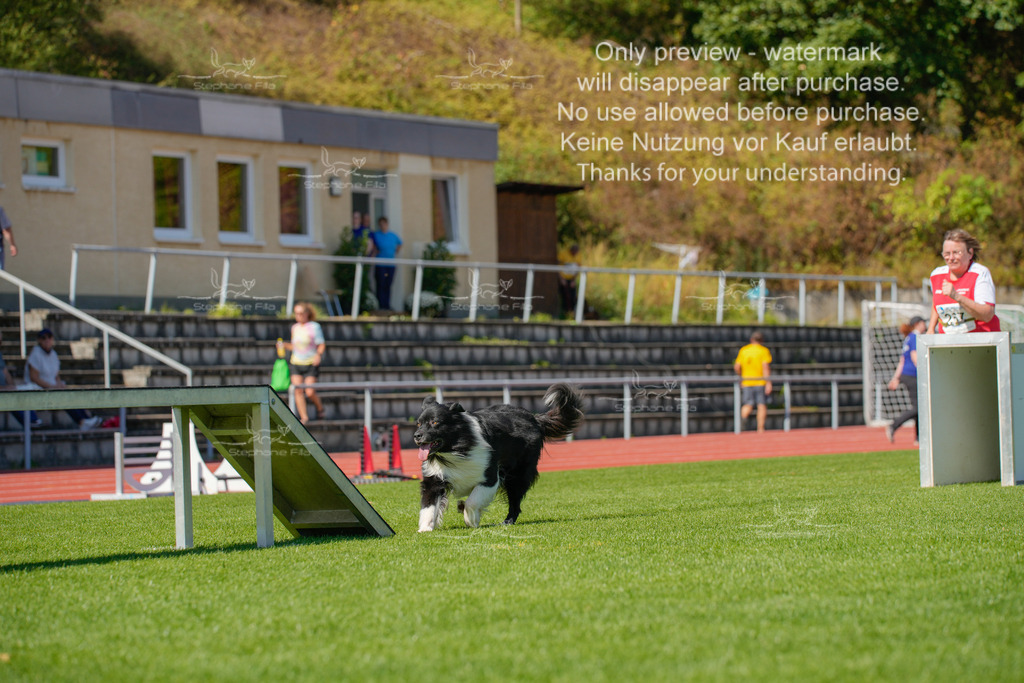 Sonntag_VK Hindernis (458 von 671) | stephaniefillaphotographie - Realisiert mit Pictrs.com