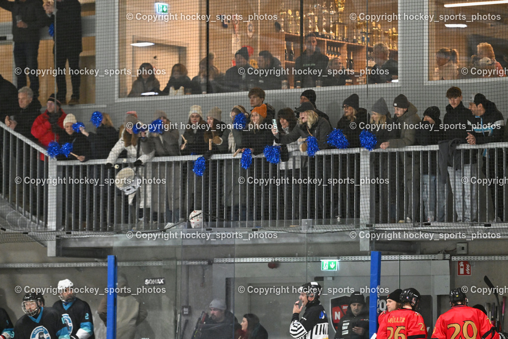 Lendhafen Seelöwen vs. Spartans Althofen | Besucher HTC Eishalle Ferlach, Lendhafen Seelöwen vs. Spartans Althofen, Lendhafen Seelöwen vs. Spartans Althofen am 14.02.2025 in Ferlach (HTC Eishalle Ferlach), Austria, (Photo by Bernd Stefan)