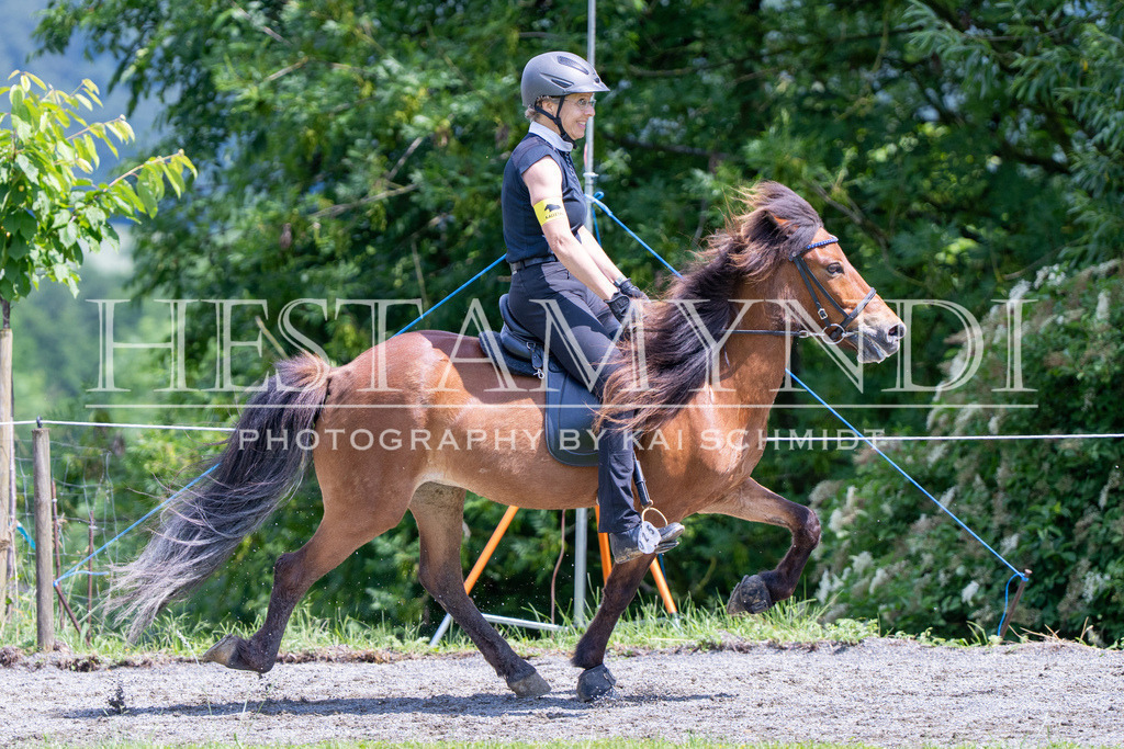 KAI08027 | Ihr sucht einen Fotografen für eure nächste OSI? Ich begleite auch euer Turnier für Islandpferde fotografisch.  - Realisiert mit Pictrs.com