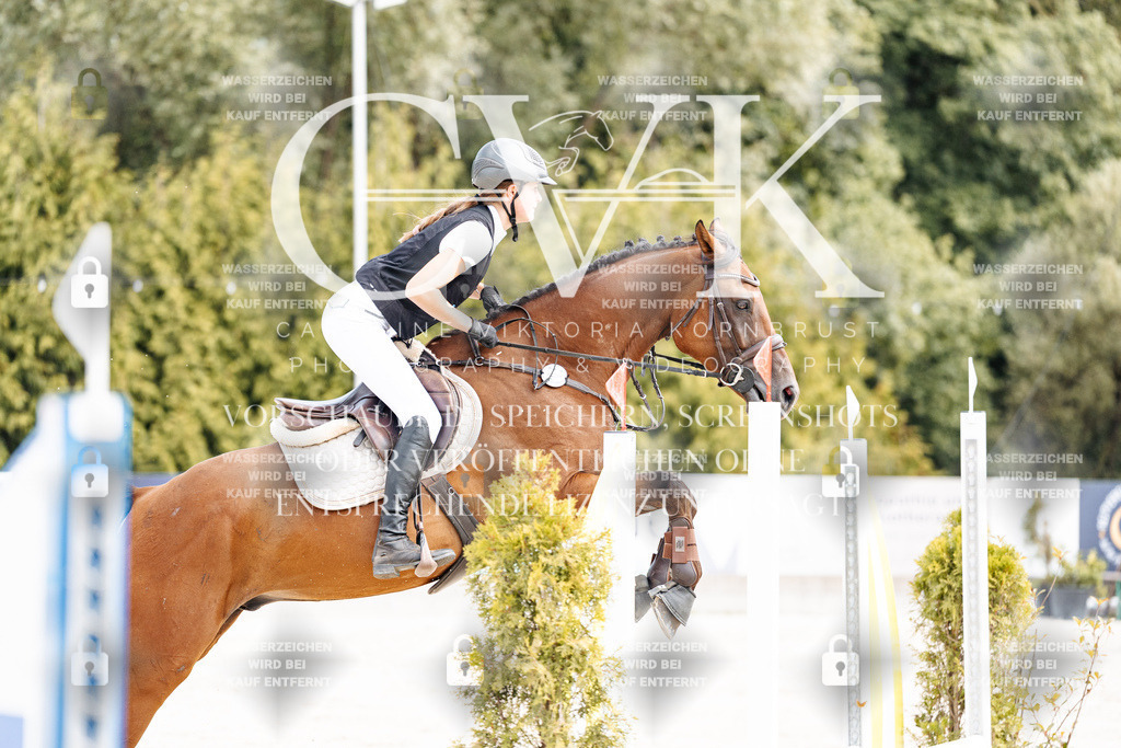 CK906584 | Turnierfotografie Pferdefotografie Trier Rheinland-Pfalz Pferdesport Reitsport Tierfotografie Sportfotografie Pferdevideo Pferdevideografie Equestrianvideography equestrianphotography  - Realisiert mit Pictrs.com