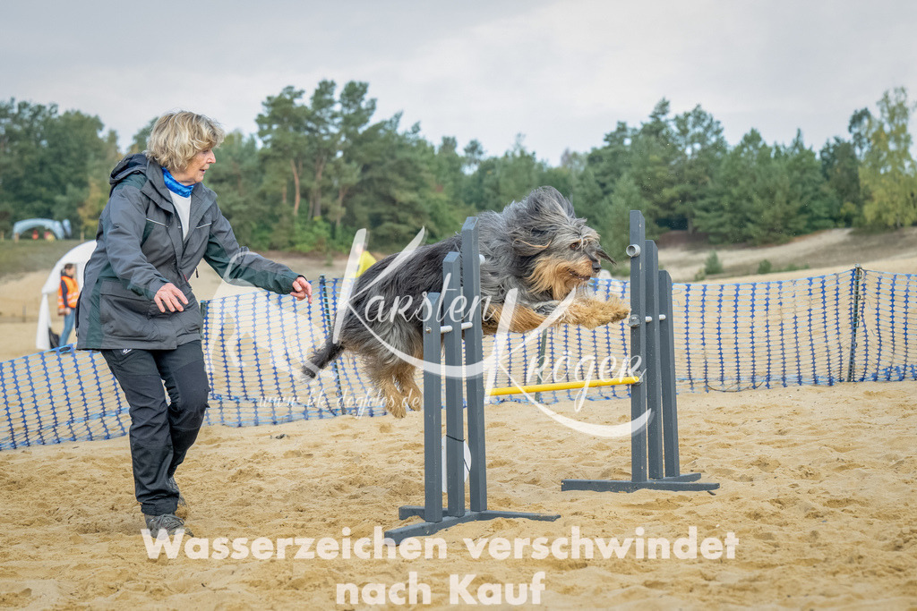 0908_ZZ91888-Bearbeitet | kk-dogfotos