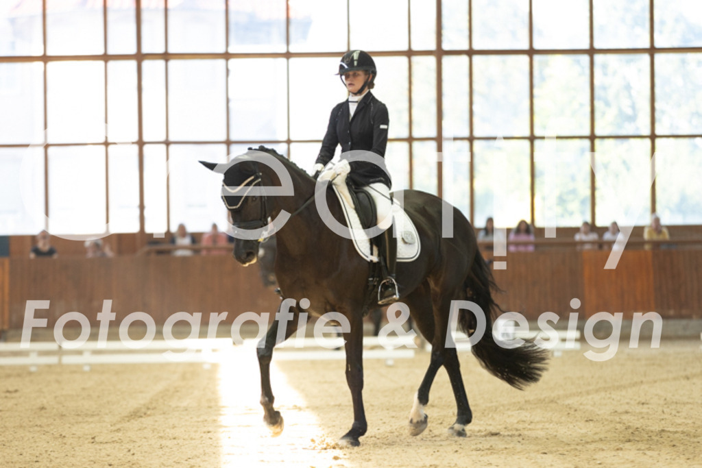 IMG_9501 | Creatify Fotografie