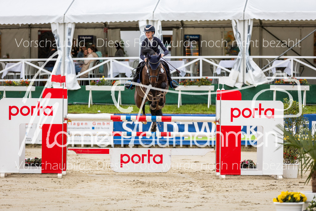 BHO-2PhSpr-M-5-2208 | MomenTaufnahmen Pferdesportfotos