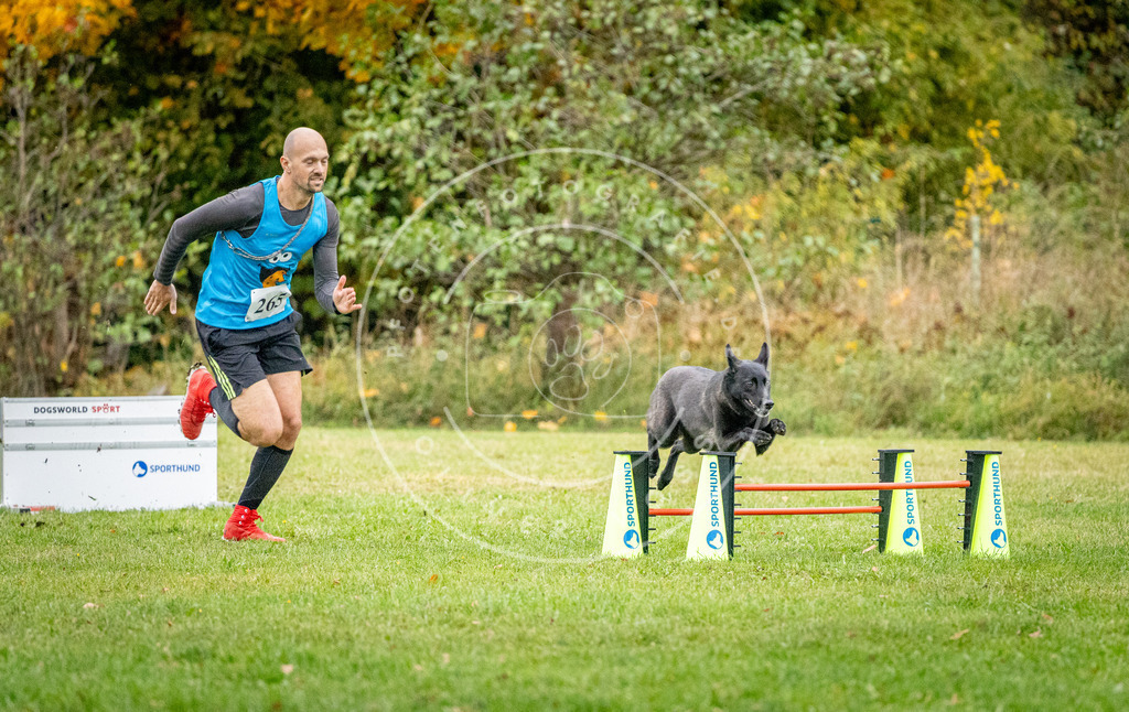 Pfotenfotografie_DV3A1064 | Hundefotografie, Tierfotograf, Pfotenfotografie, Fotoshooting Hund, Hunde Portrait, Hundesport, Hundeportraits, Heideshooting, Hunde, Sportfotograf, Hundefotograf, Turnierhundsport, THS,  - Realisiert mit Pictrs.com