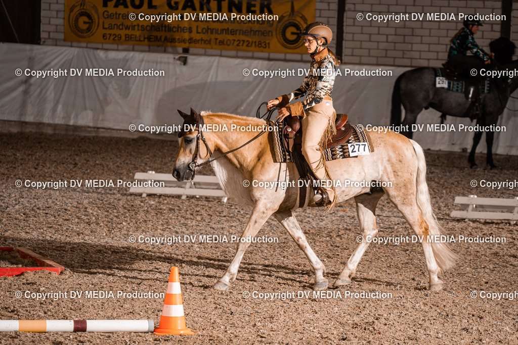 ZH200546 | dv-media-shop - Realisiert mit Pictrs.com