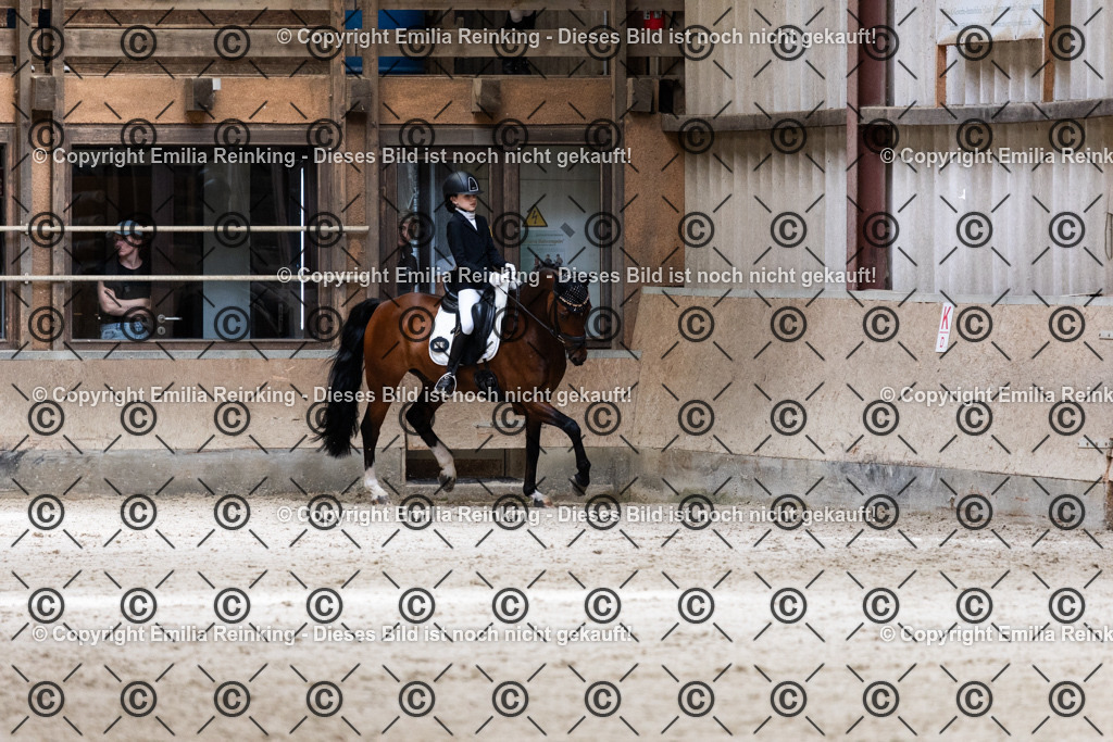 CL5A4135 | Emilia Reinking Fotografie - Realisiert mit Pictrs.com