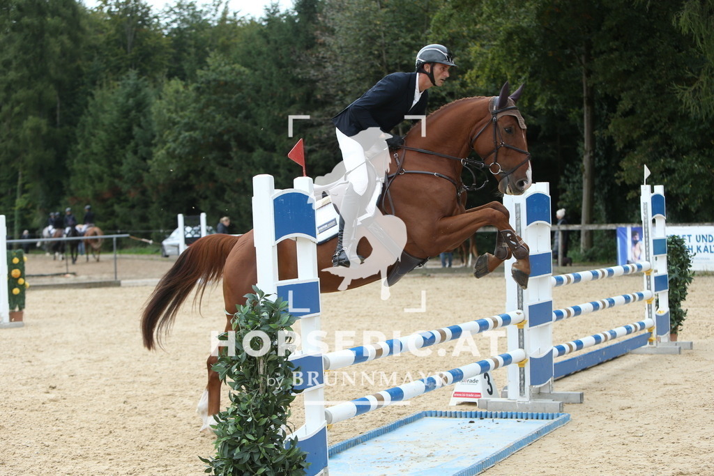 DL2Q1481 | Willkommen bei Brunnmayr - Design & Fotografie – Ihrem Spezialisten für Reitturniere und Pferdeveranstaltungen in Oberösterreich, Salzburg und Bayern! Seit über 17 Jahren sind wir leidenschaftlich dabei.