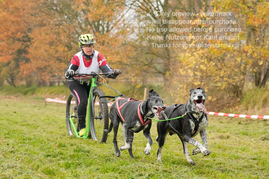 Visbeck_Sa_DS2DR2-101 | stephaniefillaphotographie - Realisiert mit Pictrs.com