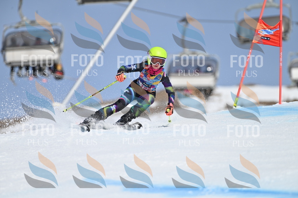 BGV_9839 | holidayphoto