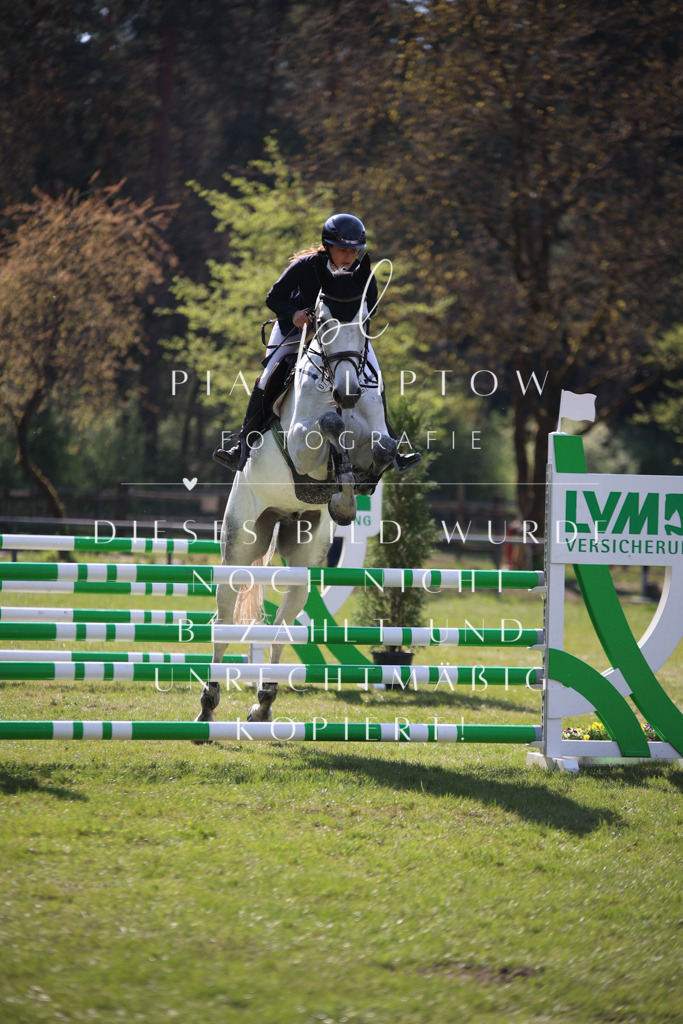 IMGT6070 | pl-fotografie