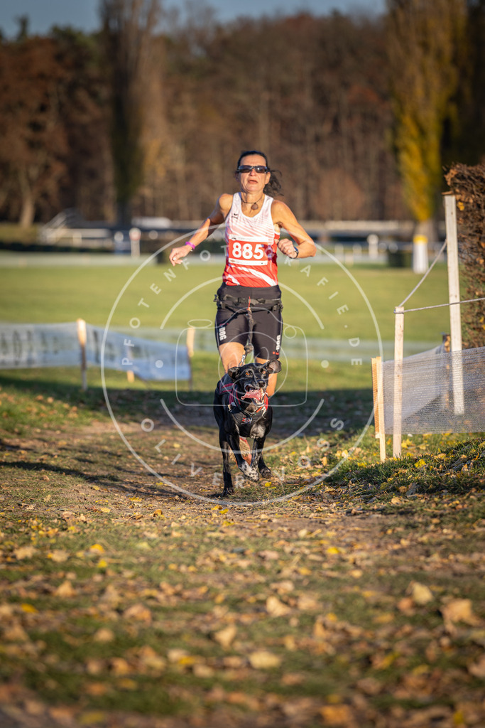 CaniXpix_DV3A4430 | Hundefotografie, Tierfotograf, Pfotenfotografie, Fotoshooting Hund, Hunde Portrait, Hundesport, Hundeportraits, Heideshooting, Hunde, Sportfotograf, Hundefotograf, Turnierhundsport, THS,  - Realisiert mit Pictrs.com