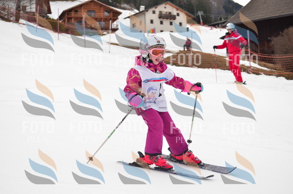 B9768 | holidayphoto