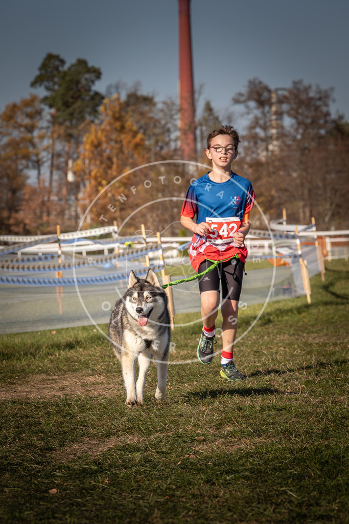 CaniXpix_0L8A7583 | Hundefotografie, Tierfotograf, Pfotenfotografie, Fotoshooting Hund, Hunde Portrait, Hundesport, Hundeportraits, Heideshooting, Hunde, Sportfotograf, Hundefotograf, Turnierhundsport, THS,  - Realisiert mit Pictrs.com