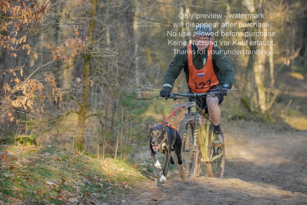 Sa_Bike-339 | stephaniefillaphotographie - Realisiert mit Pictrs.com