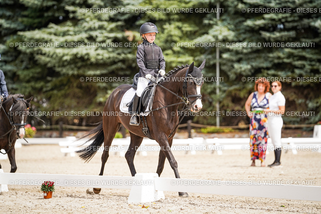 DSC02738 | Pferdegrafie