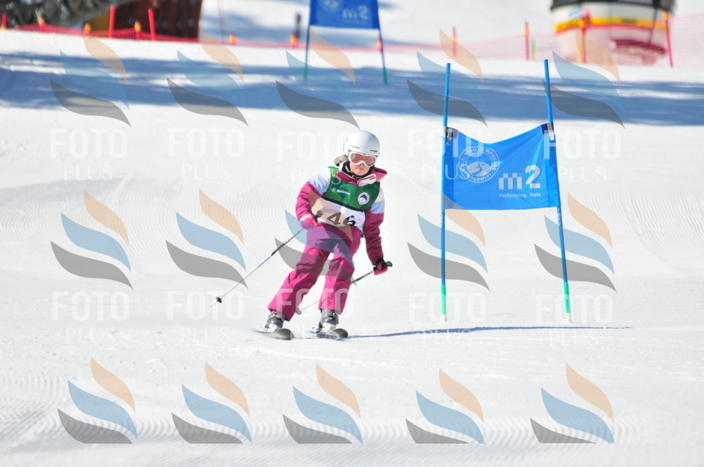 C2783 | holidayphoto