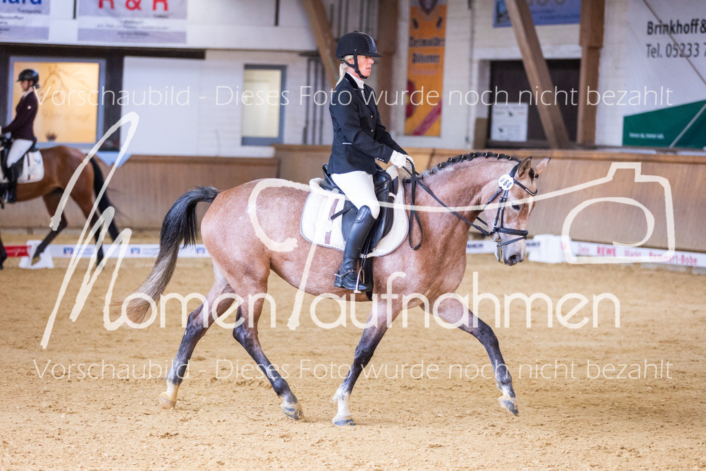 Sth-A-Dre-1St-149 | MomenTaufnahmen Pferdesportfotos