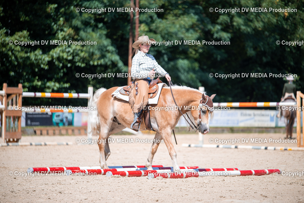 ZS1_1551 | dv-media-shop - Realisiert mit Pictrs.com